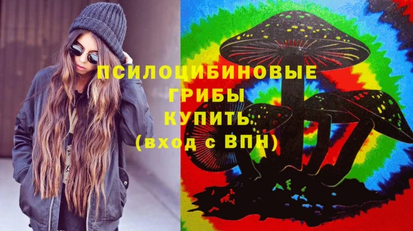 эйфоретик Баксан