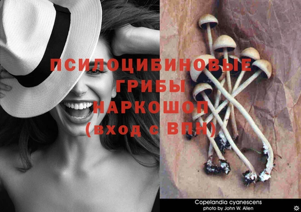 гидра Балахна