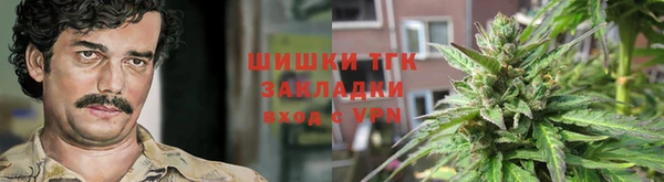 эйфоретик Баксан