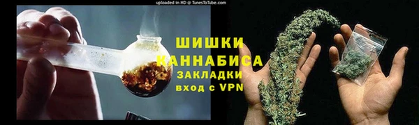 гидра Балахна