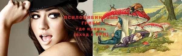эйфоретик Баксан